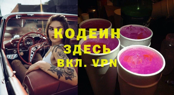 2c-b Бородино