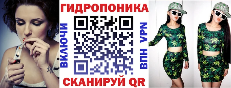 Бошки Шишки сатива  продажа наркотиков  Жигулёвск 